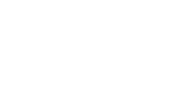 에볼루션 게이밍 logo