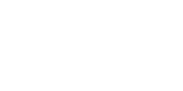 넷엔트 logo
